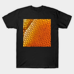 Honeycomb T-Shirt